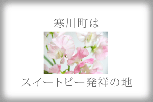 SamSweetとは？説明画像