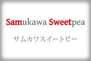 SamSweetとは？説明画像